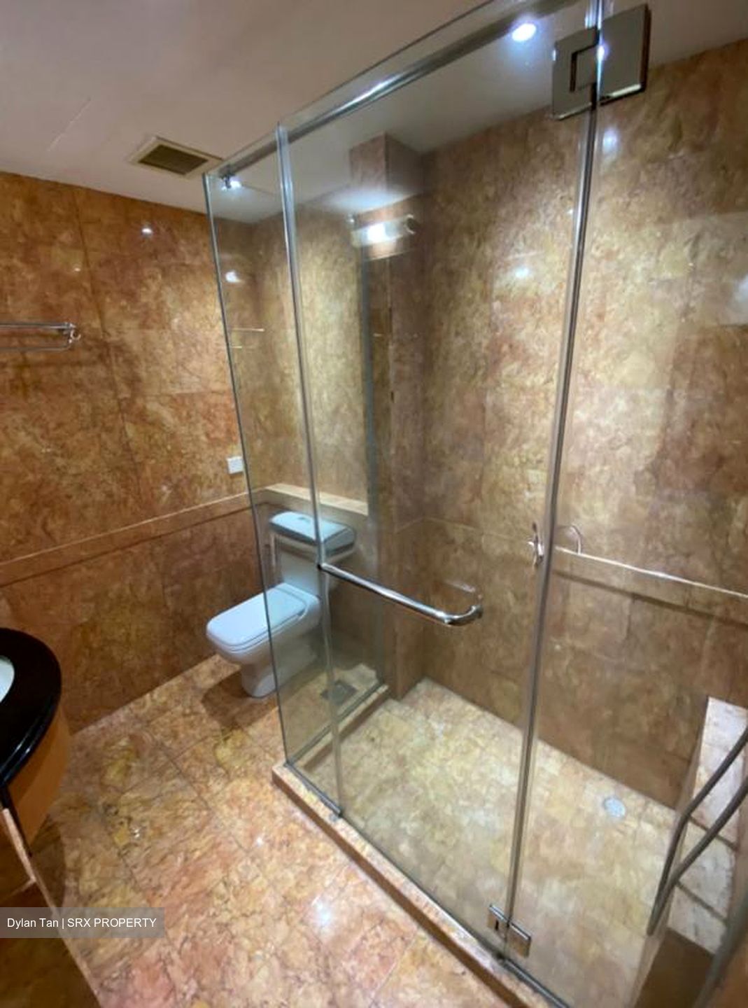 Orchard Scotts (D9), Condominium #497387161